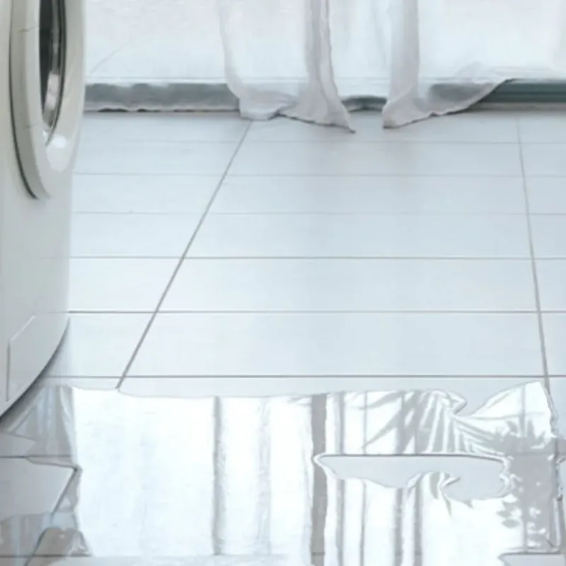 Appliance Leak Cleanup in Loyalhanna, PA