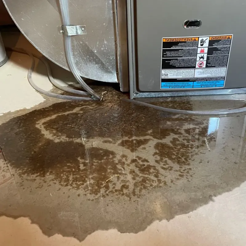 Pipe Burst and Leak Restoration in Loyalhanna, PA