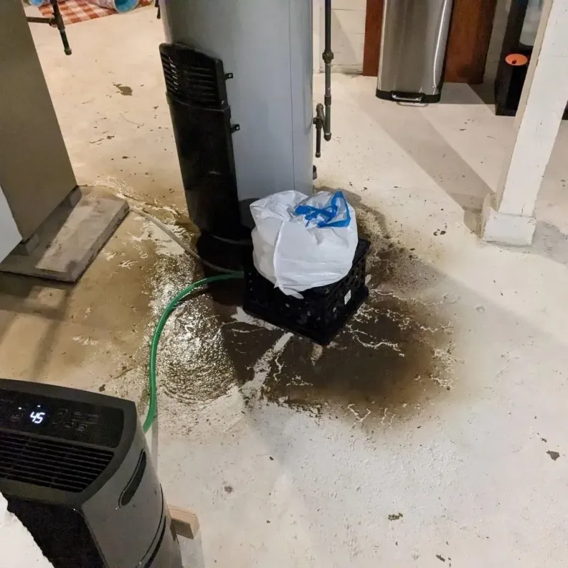Sewage Backup Cleanup Service in Loyalhanna, PA